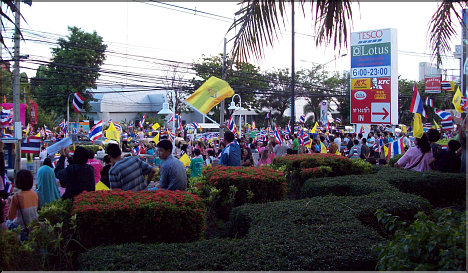 Chameleons are demonstrating in Pattaya