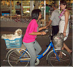 Dog Taxi