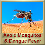Avoid mosquitoes, they spread the Dengue Fever