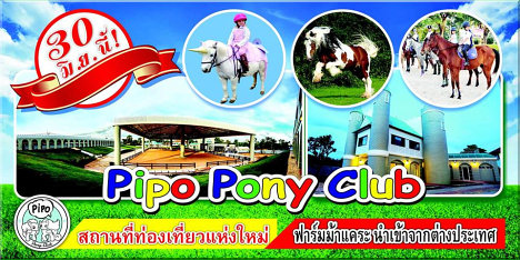 Pipo Pony Club
