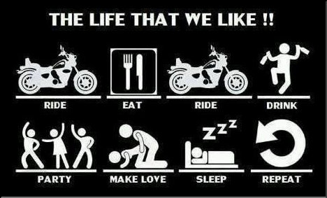 The Life we like