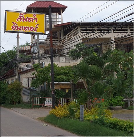 Nice Place to enjoy Thai Food: Somtam Inter