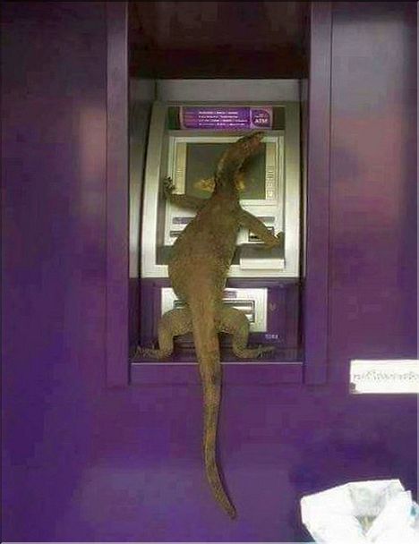 I love my ATM