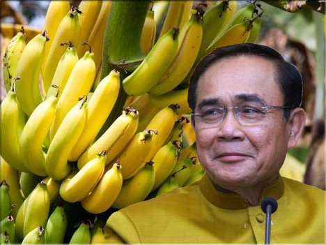 We are the Original Banana Republic