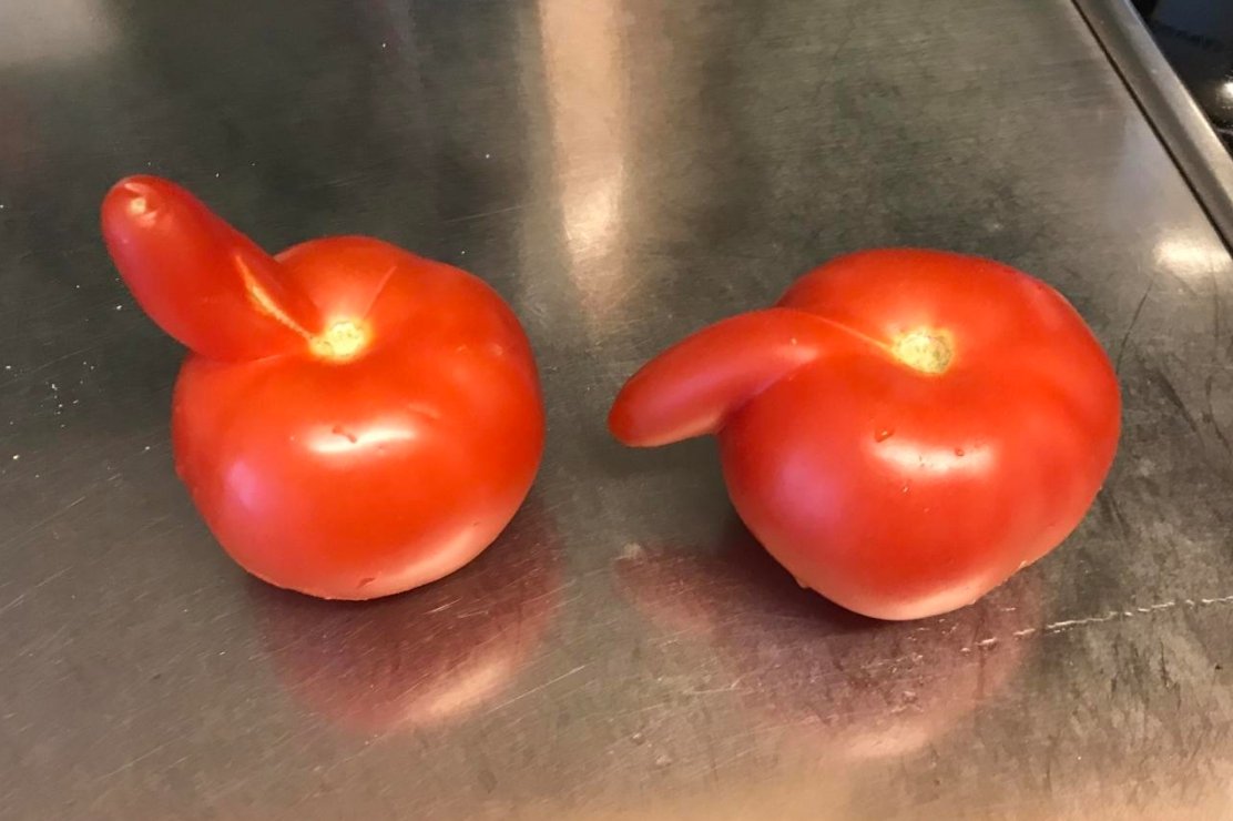 Tomatos in Switzerland