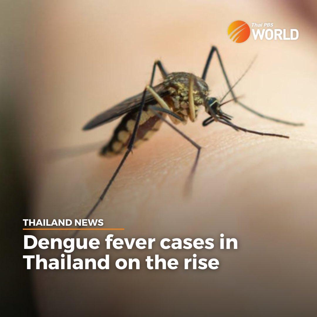 Dengue warning