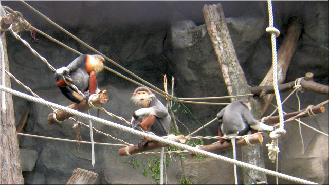 Khaowkheow Open Zoo